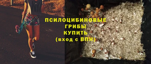 эйфоретик Надым